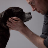 dog-friendly candid portrait photographer in Baltimore, Maryland